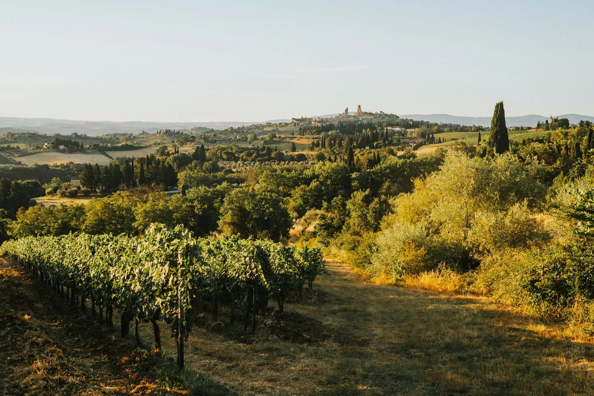 Badia a Passignano view 1