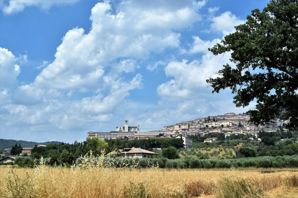Basilica of San Francesco feature