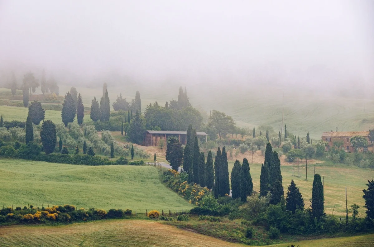 Biondi Santi Tenuta Greppo feature