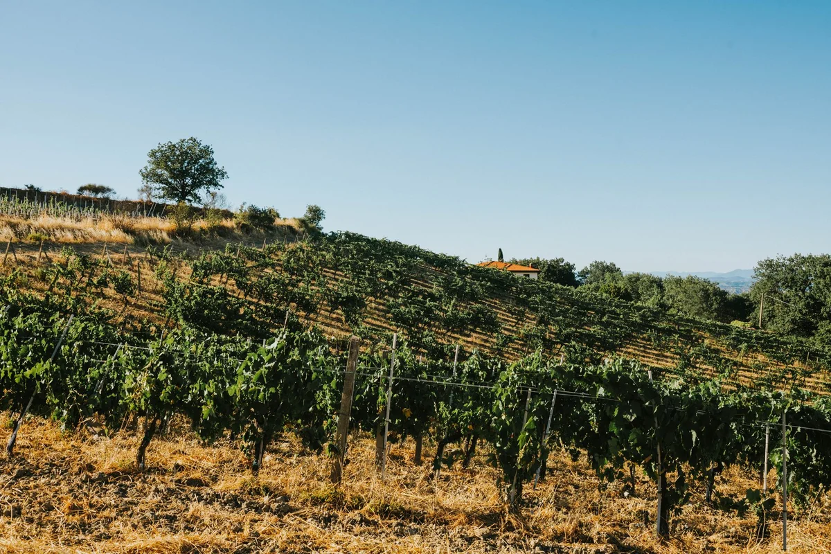Antinori nel Chianti Classico Winery view 2