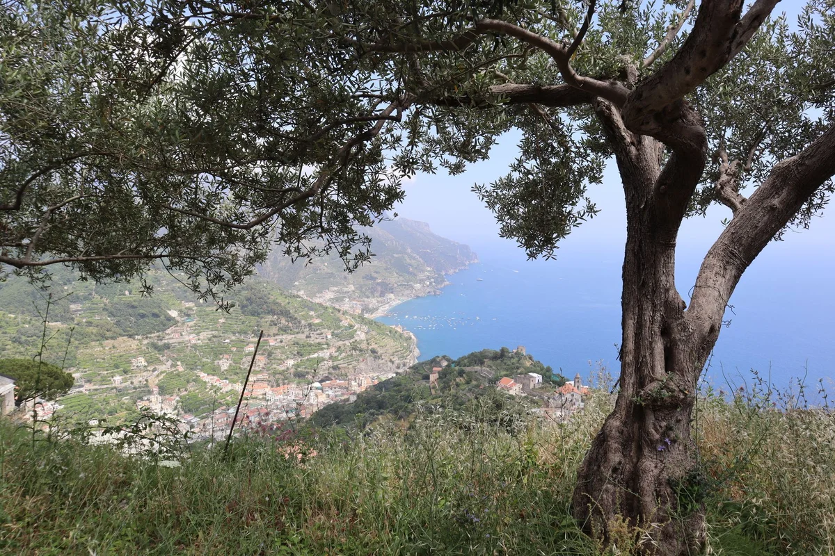 Capo di Sorrento view 1