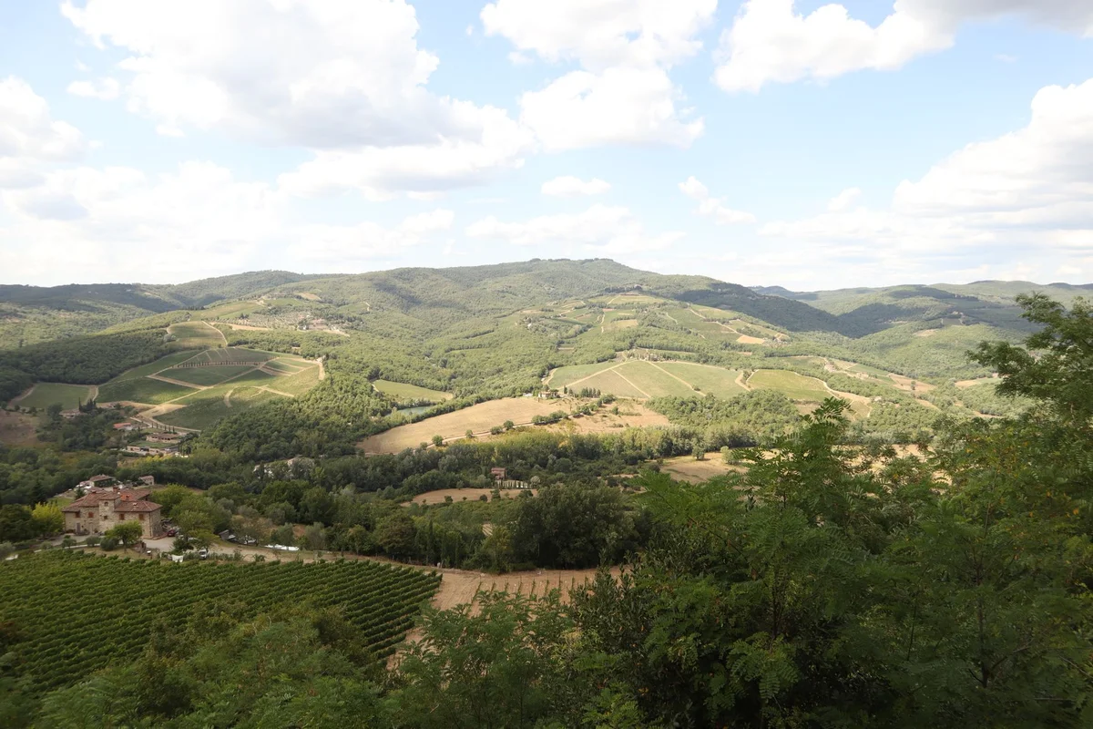 Castello di Ama view 1