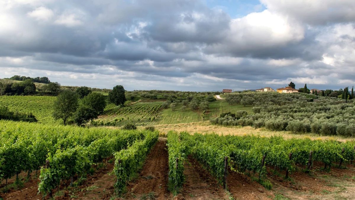 Castello di Verrazzano view 2