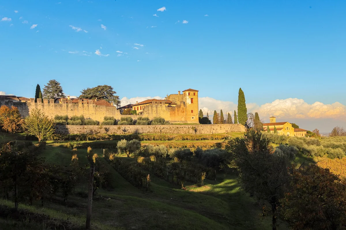 Castello di Verrazzano feature