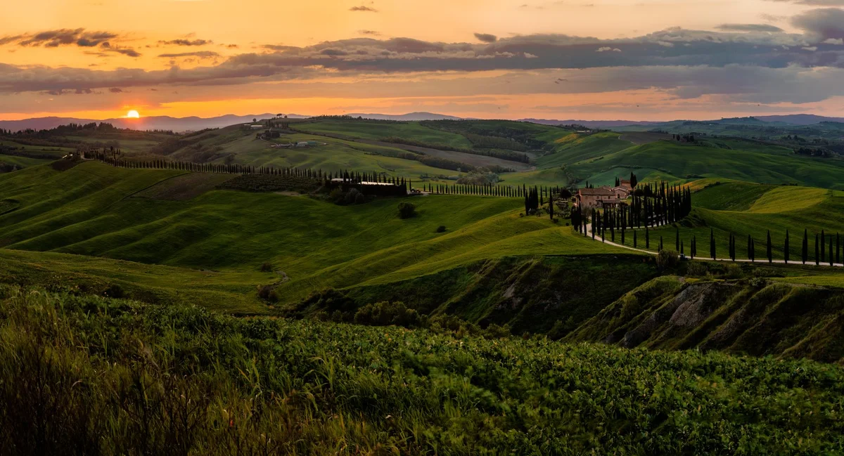 Castiglion del Bosco Winery view 2