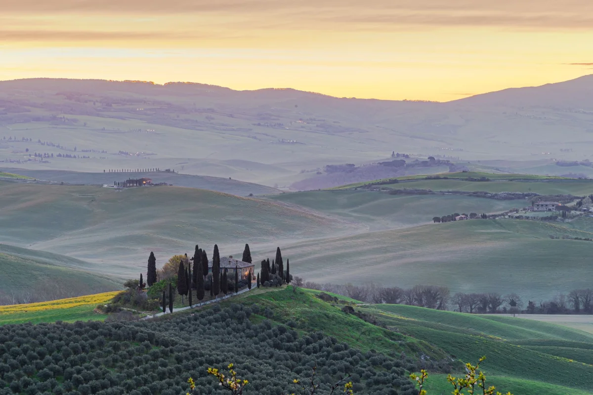 Castiglion del Bosco Winery view 1