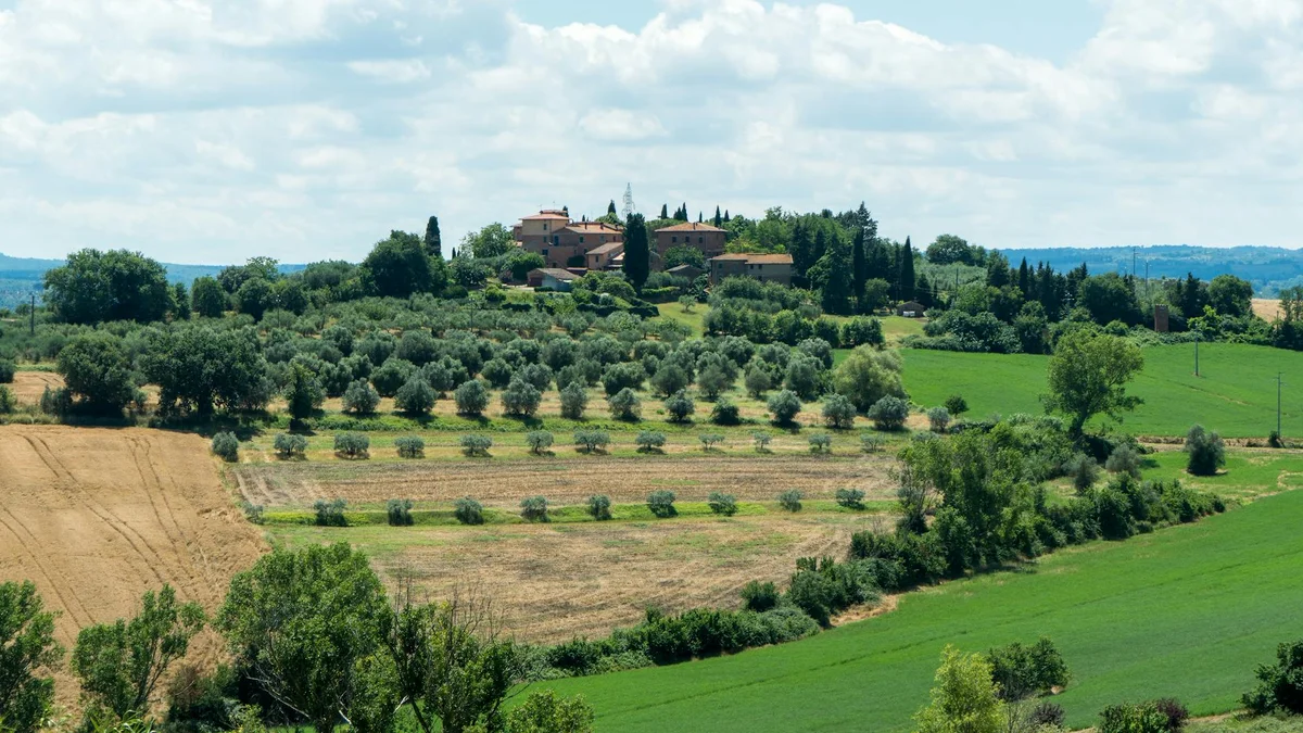 Chianti Region view 2