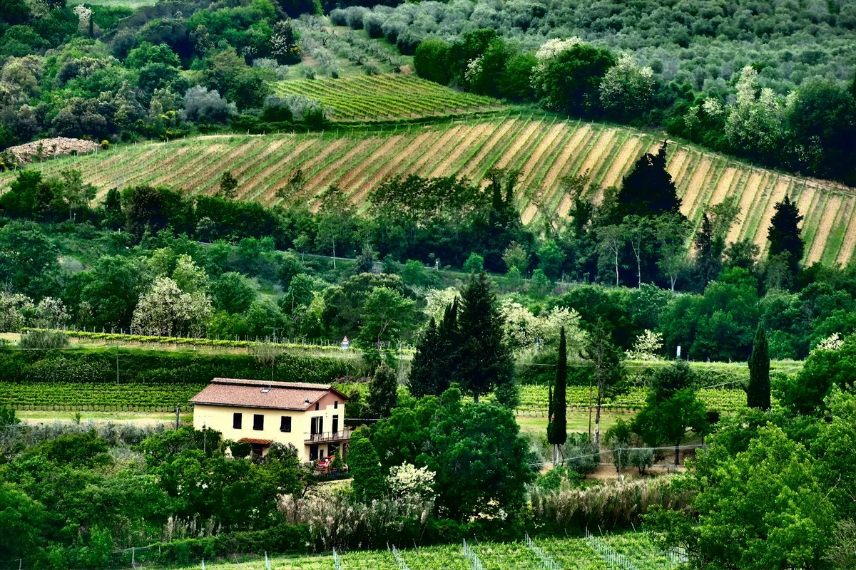 Chianti Region view 1