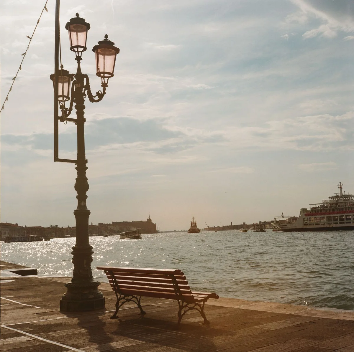 Giardini della Biennale feature