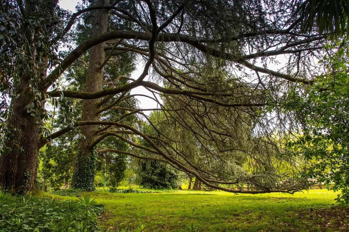Giardini Indro Montanelli view 2