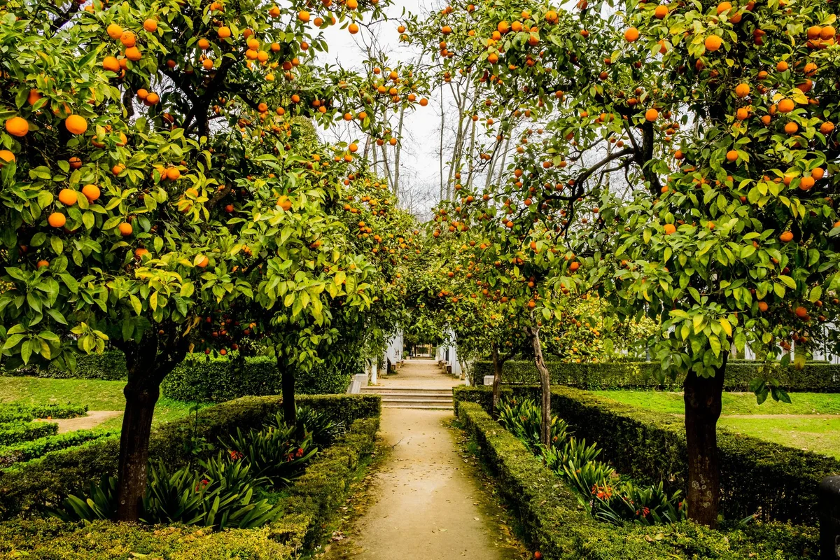 Giardino degli Aranci view 1