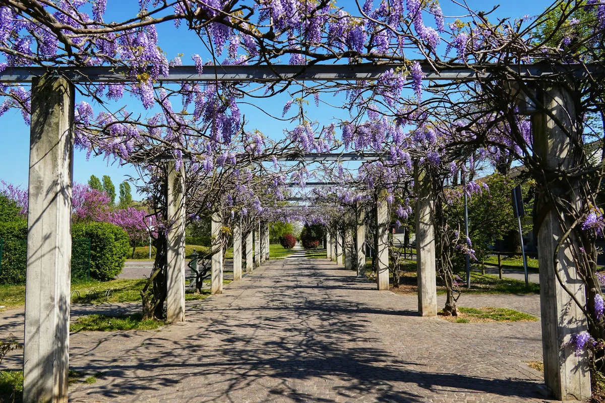 Giardino Scientifico view 2