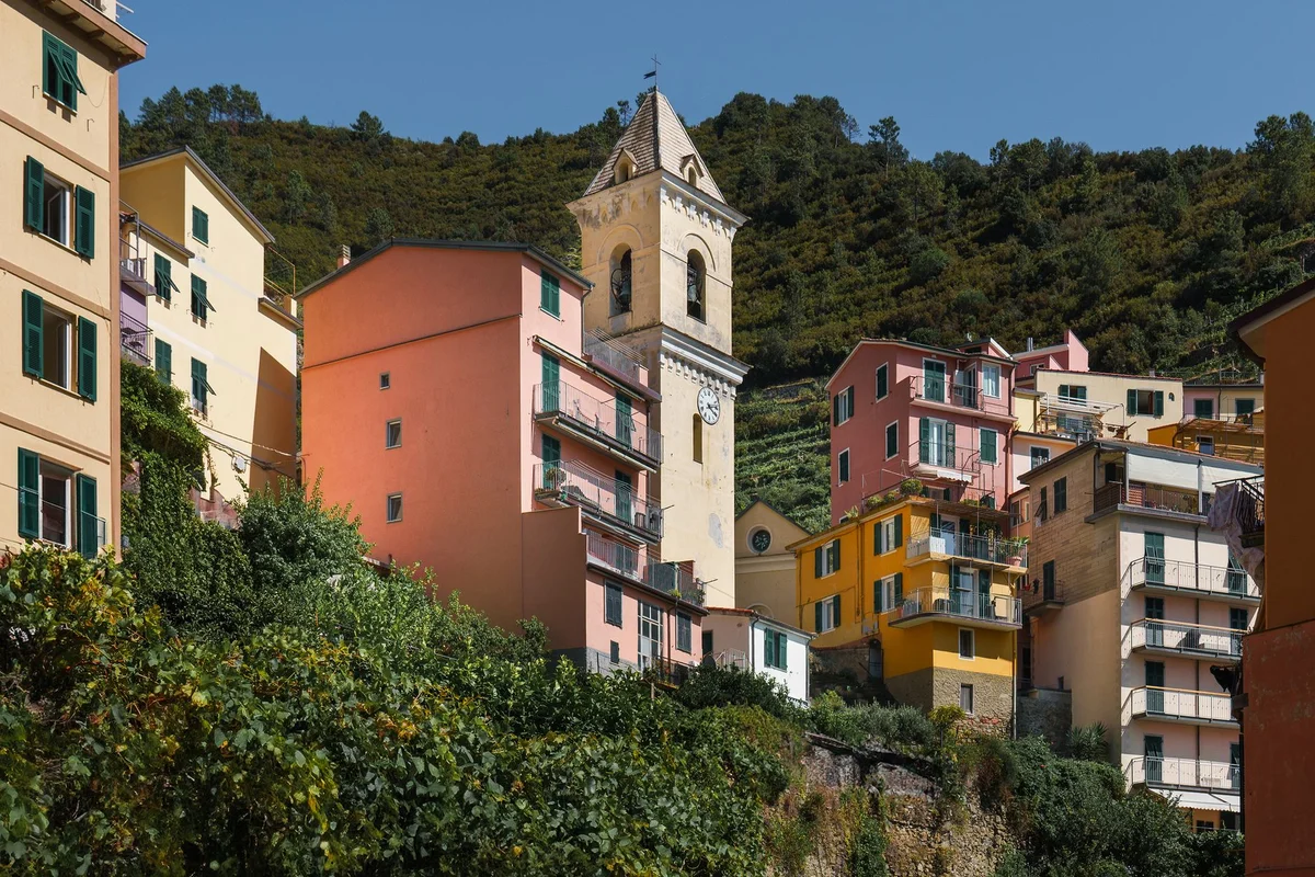 Manarola Vineyard Walk view 1