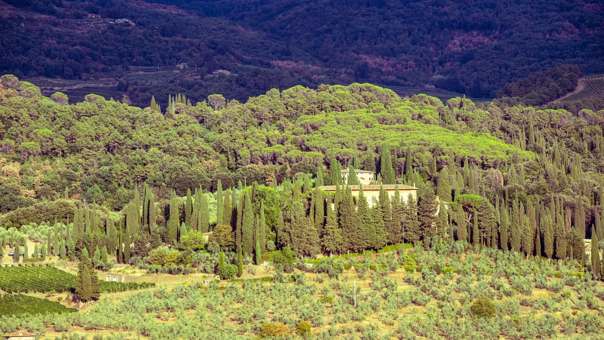 Monte Ceceri Park view 2