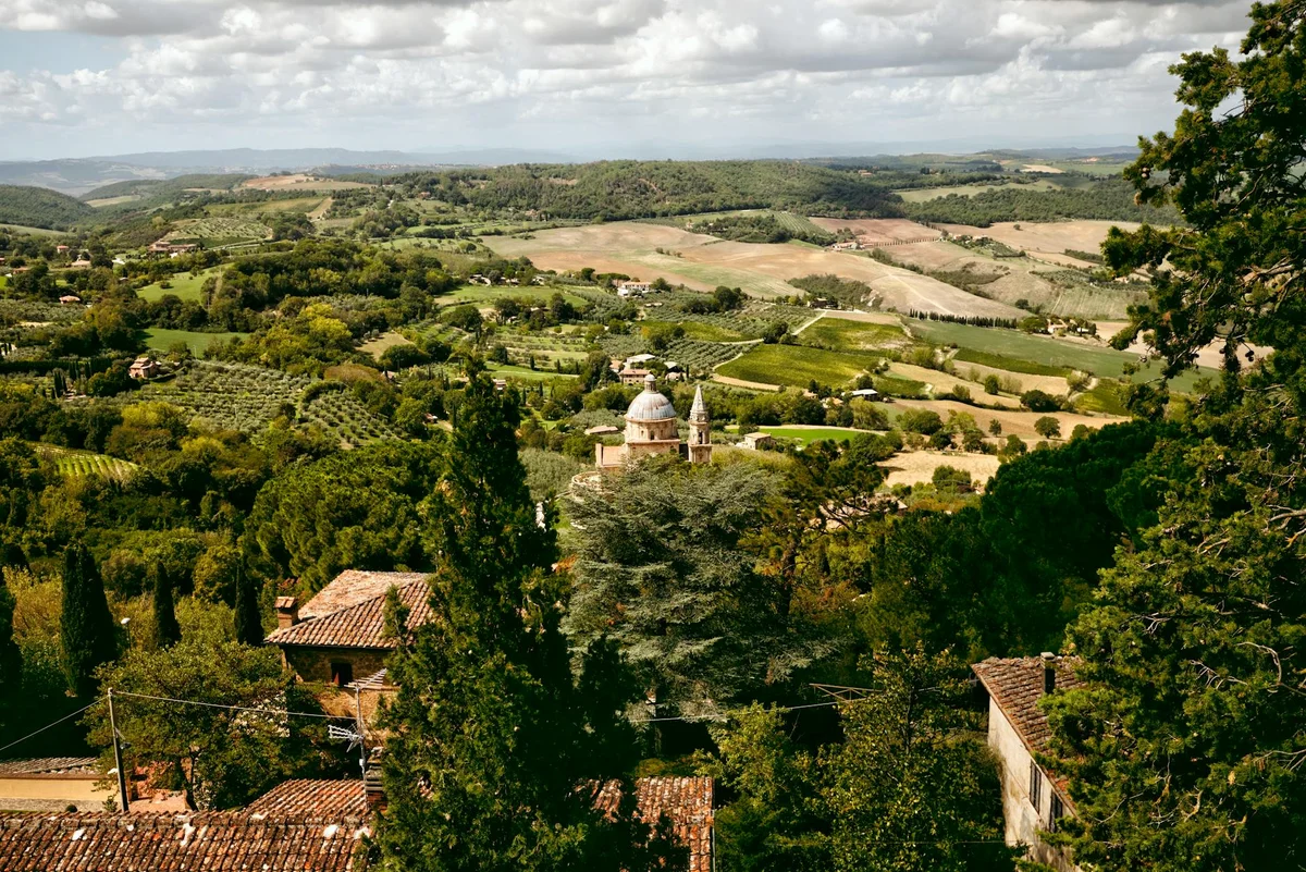Montepulciano feature