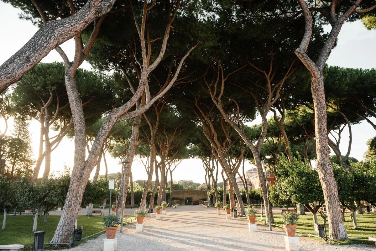 Pisa Botanical Garden feature