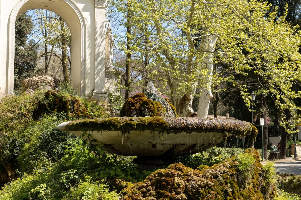 Botanical Garden of Rome view 2