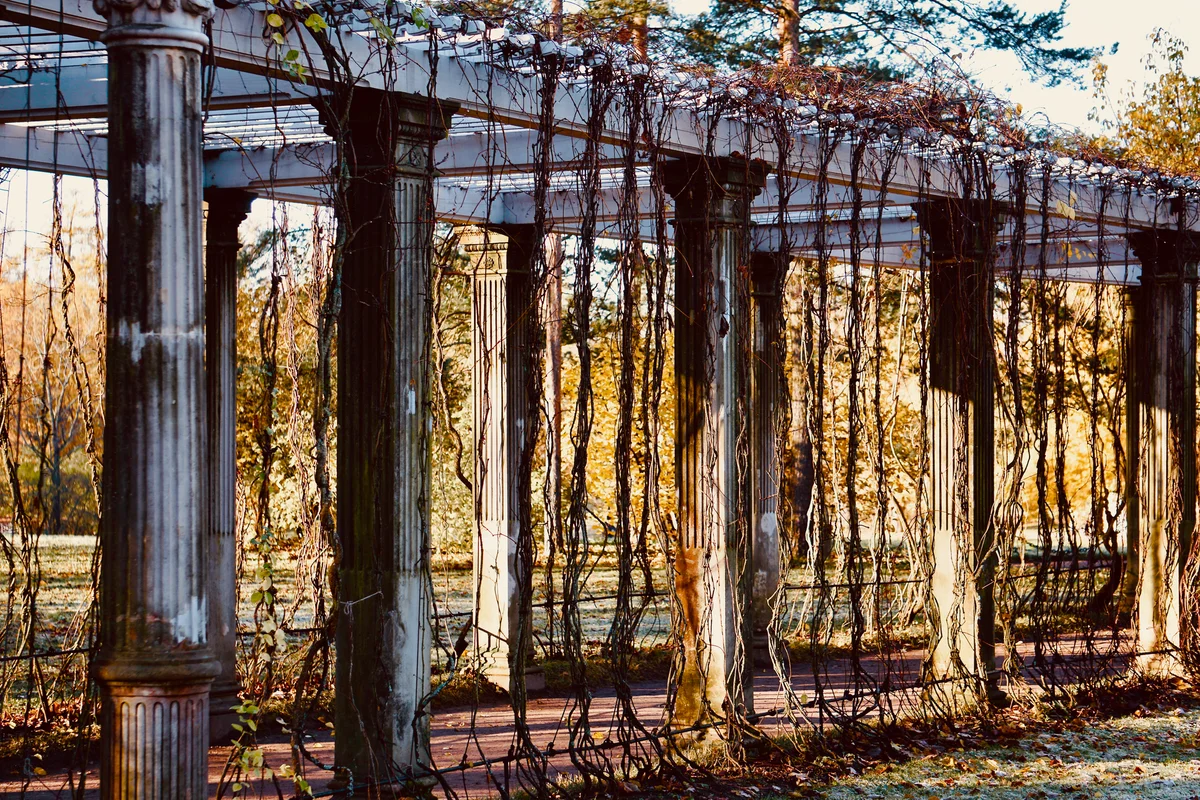 Turin Botanical Garden feature