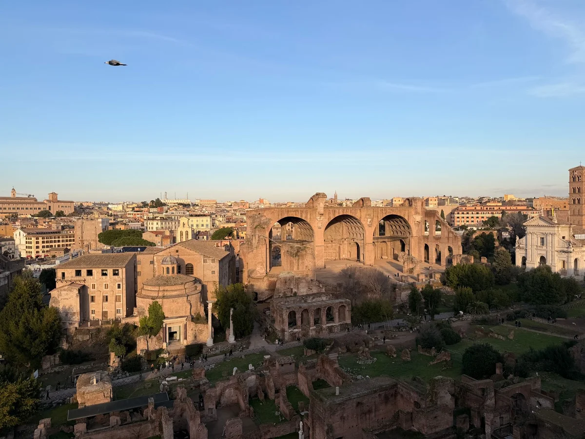 Palatine Hill feature