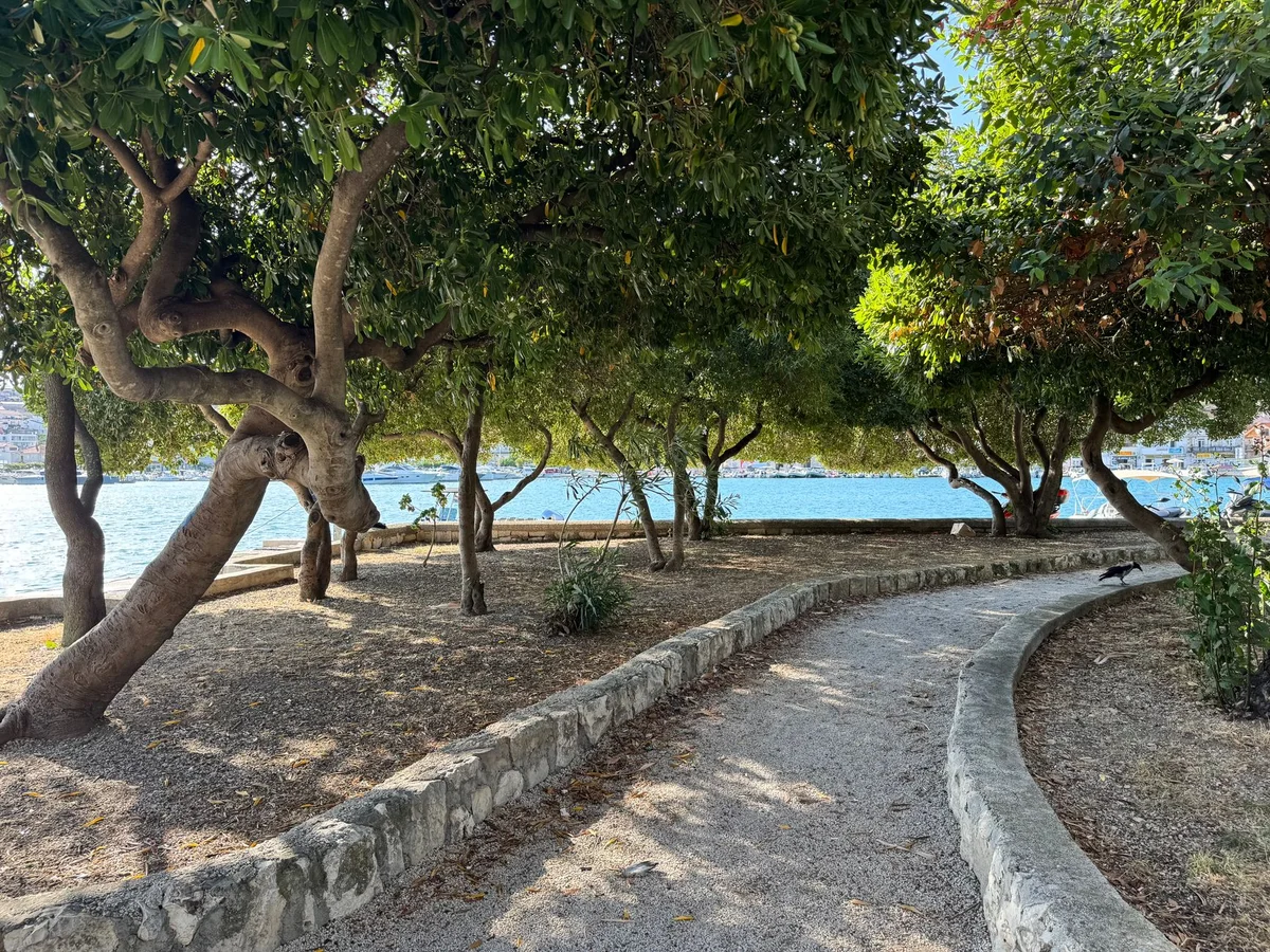 Viviani Park feature