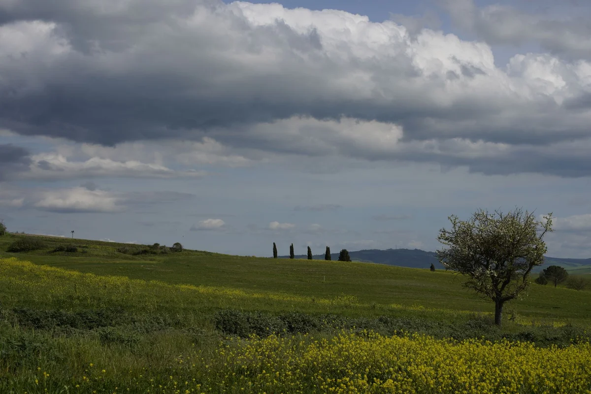Podere Il Casale view 2