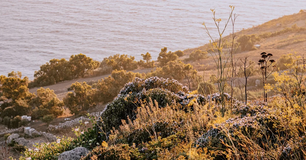 NaturArte Praiano view 2