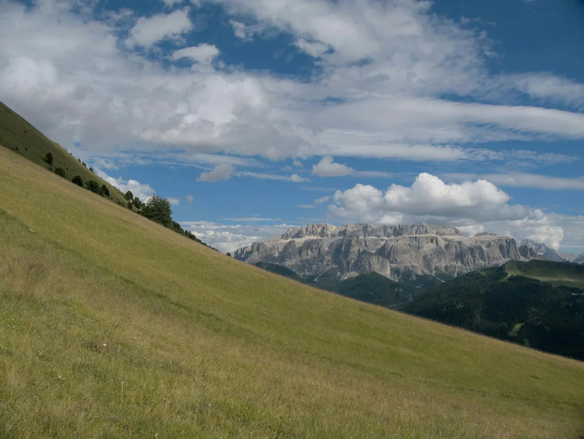 Panoramic Trail view 1