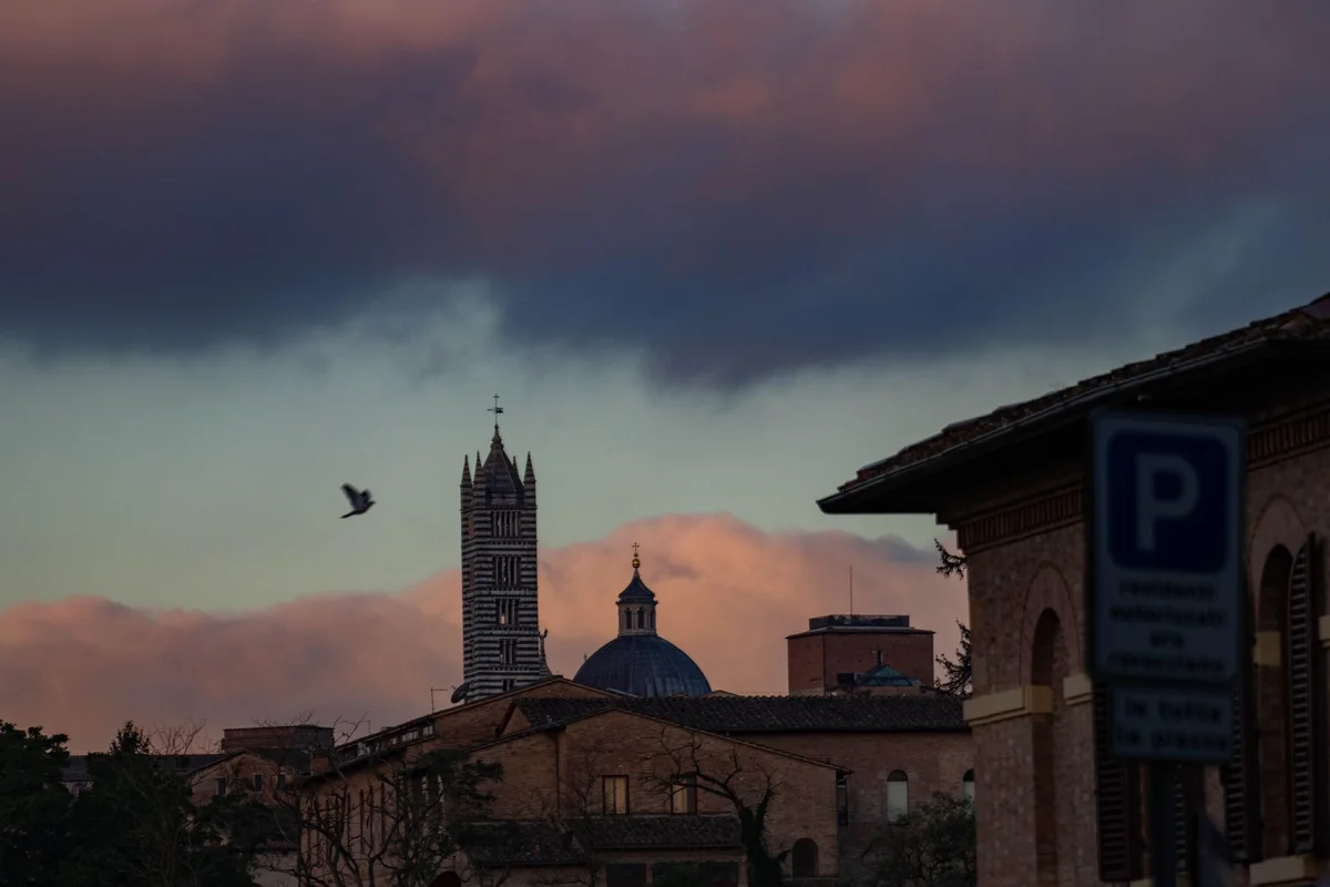Siena Cathedral feature