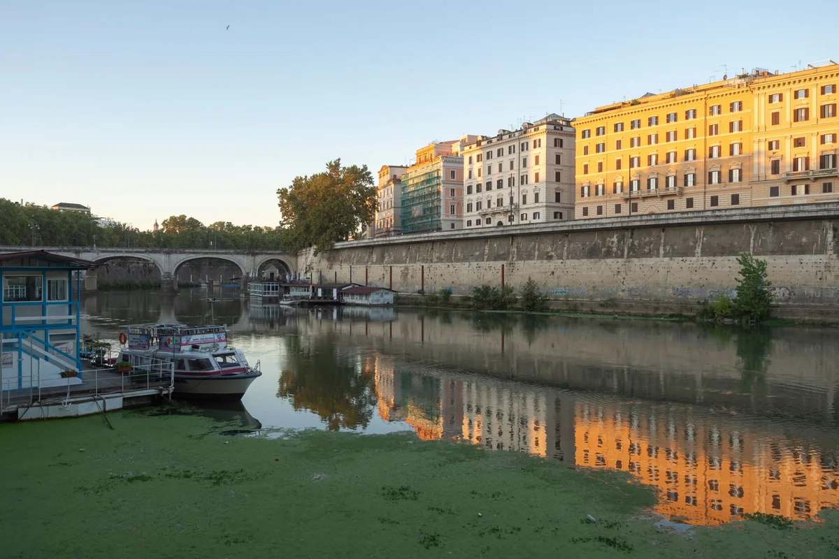 Tiber Island feature