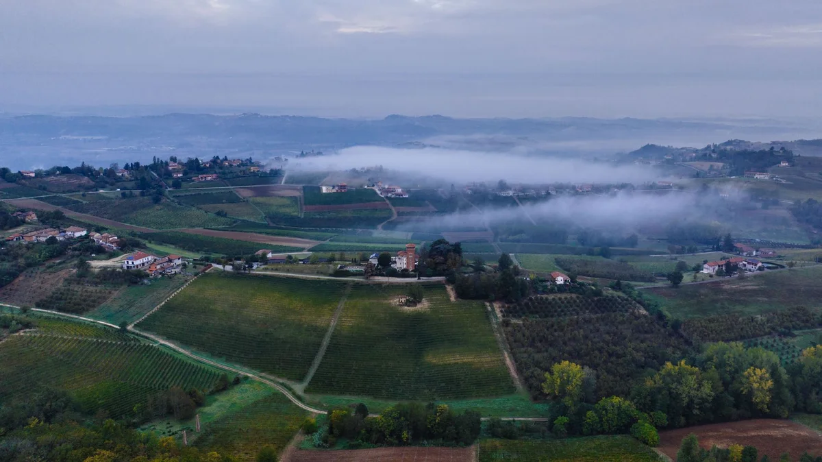 Leonardo's Vineyard view 1
