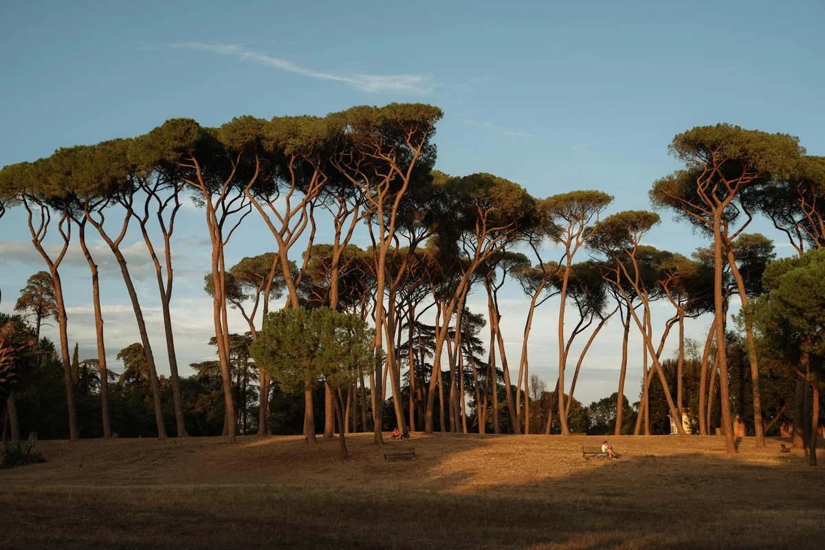 Villa Borghese view 2