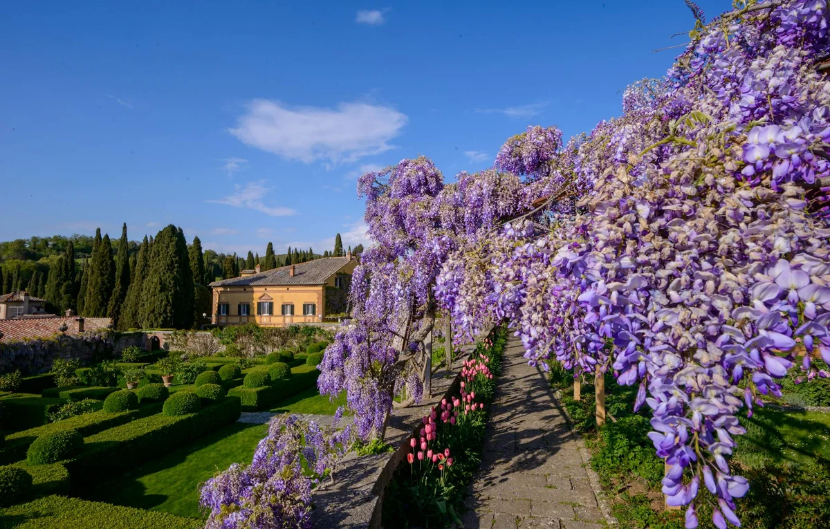 Villa Carlotta view 1