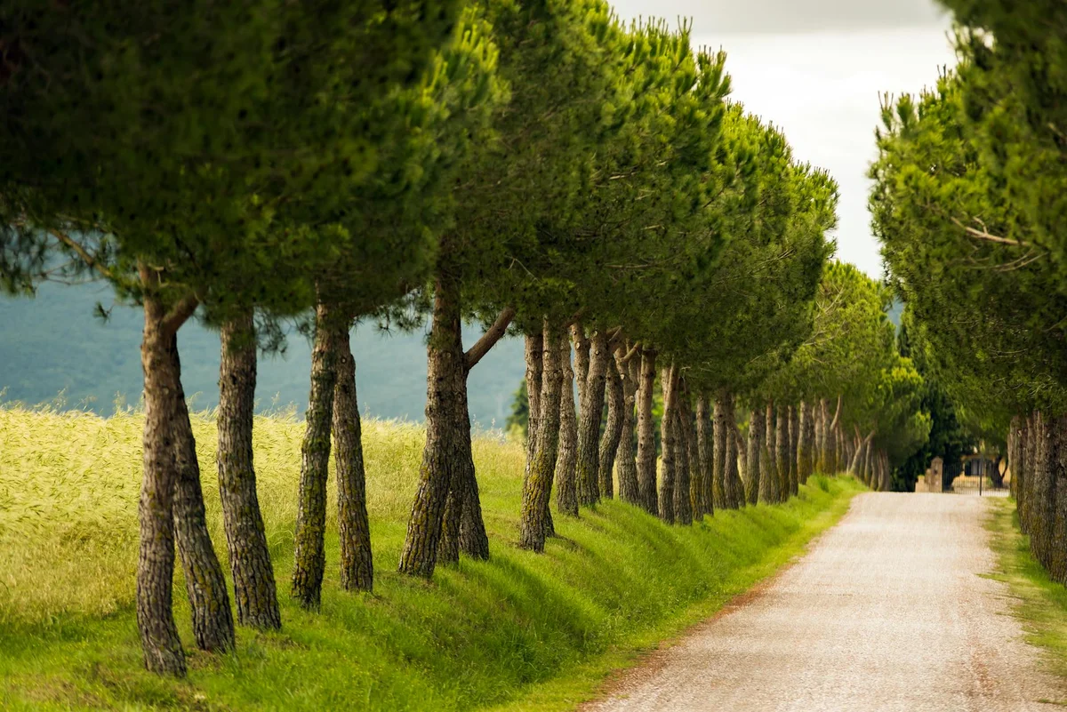 Villa Comunale view 1