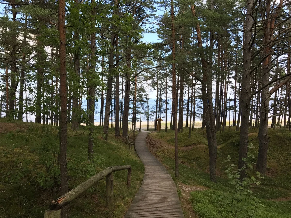 Dzintari Forest Park view 1