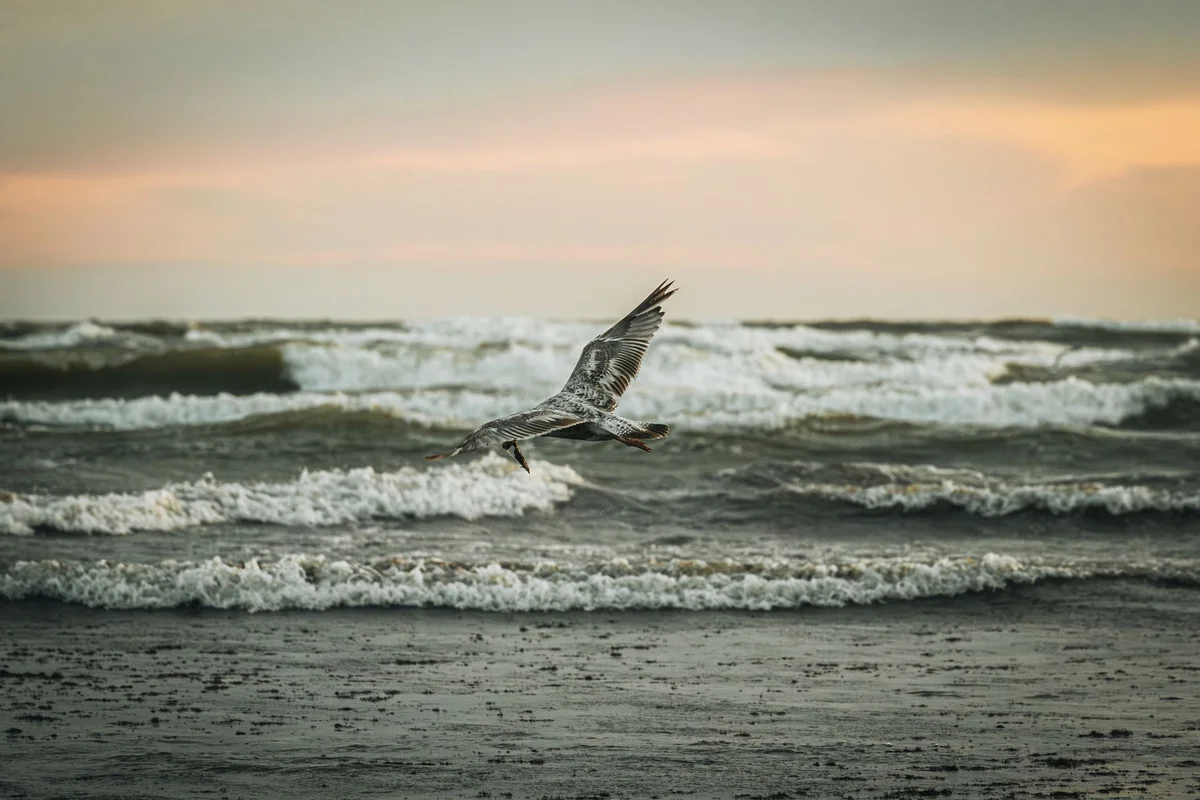 Liepaja Beach view 1