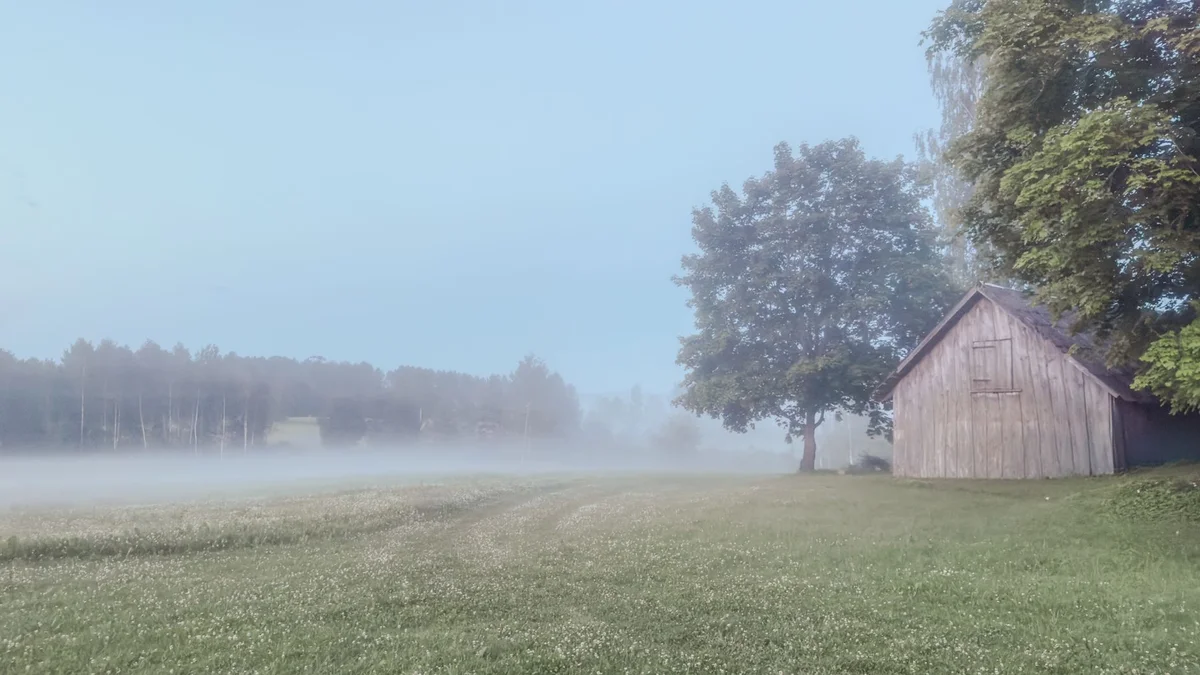 Pedvale Art Park view 1