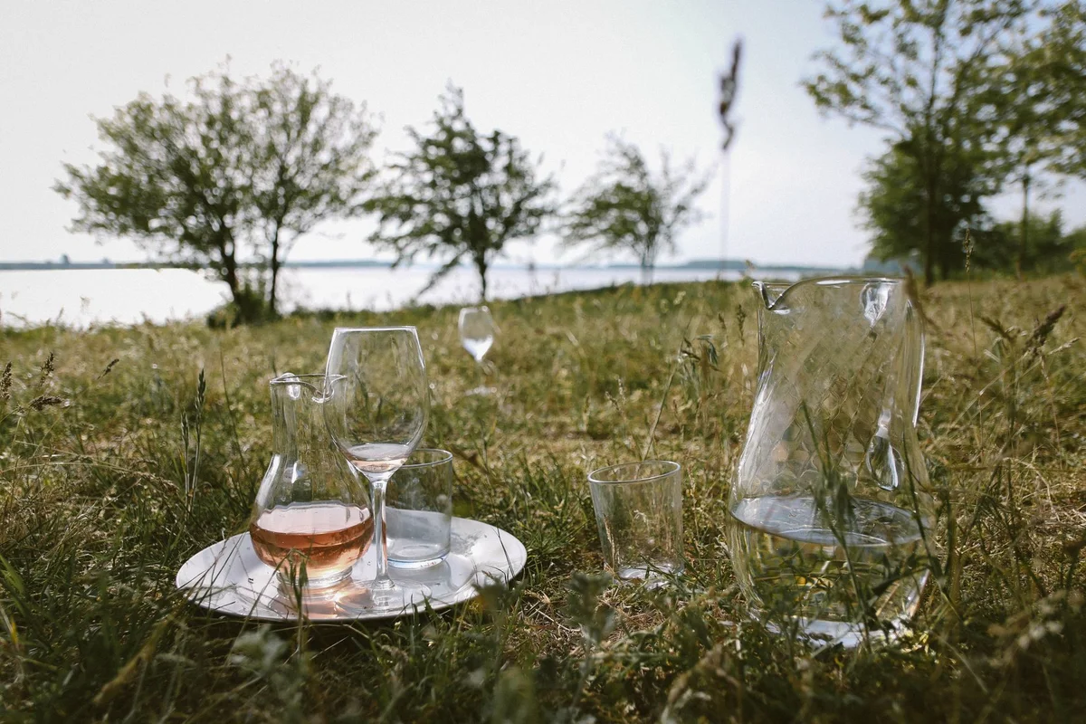 Sabile Wine Hill feature
