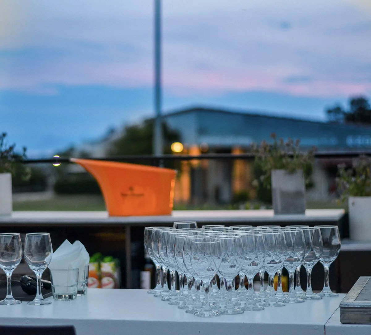 Sabile Wine Hill view 1