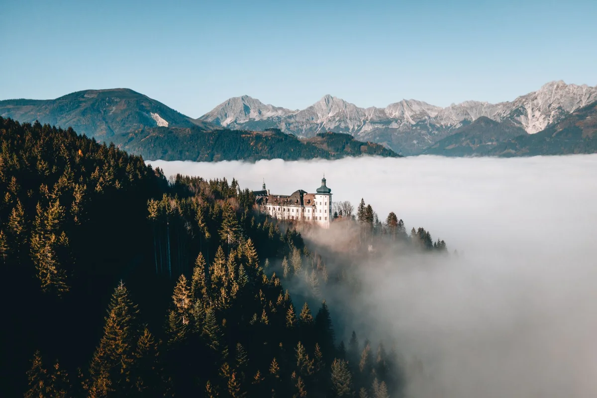 Schlosswald feature