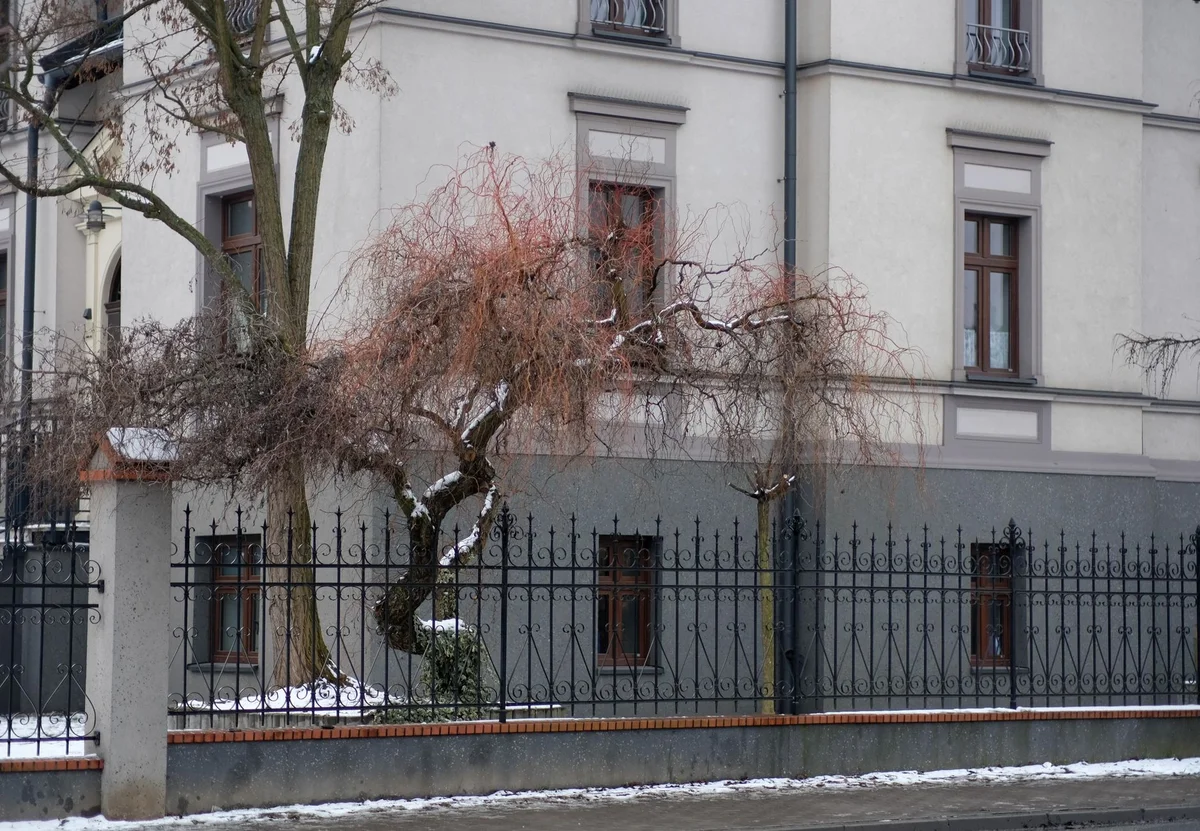 Šiauliai Aušros Museum view 2