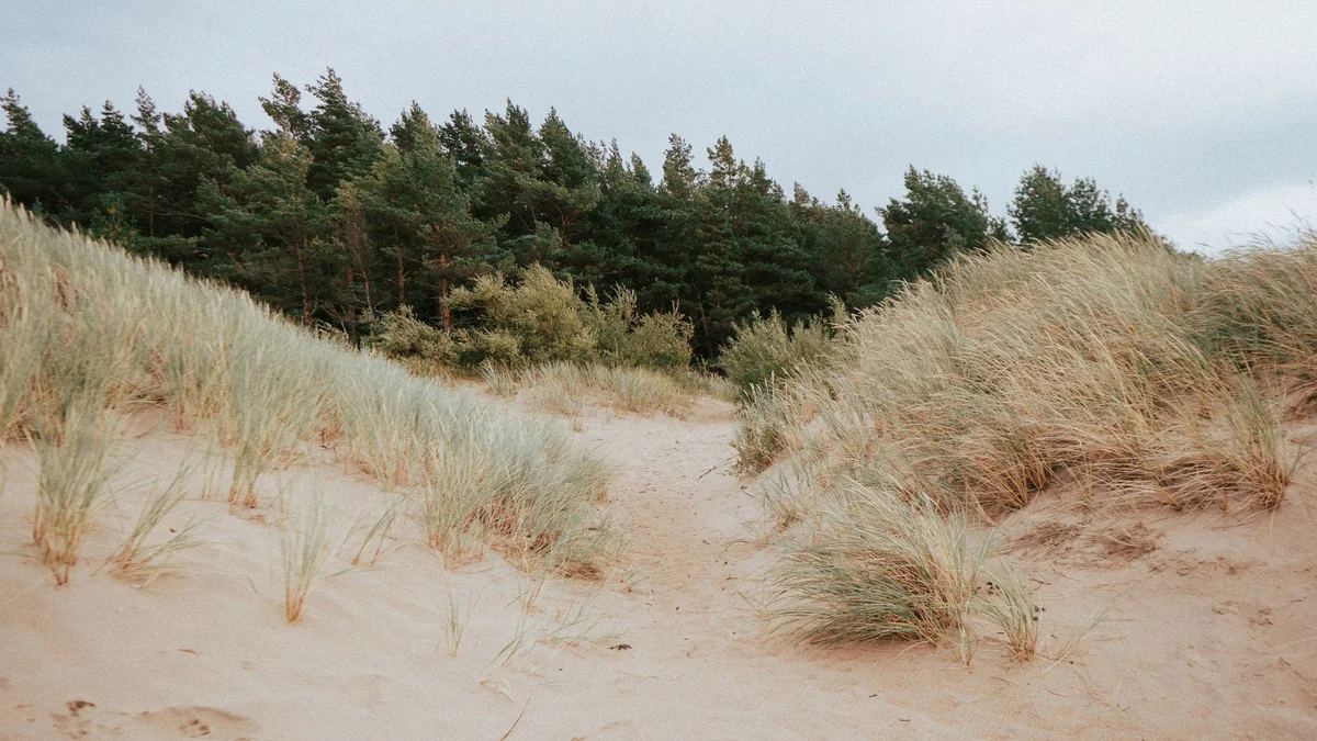 Palanga Beach view 2