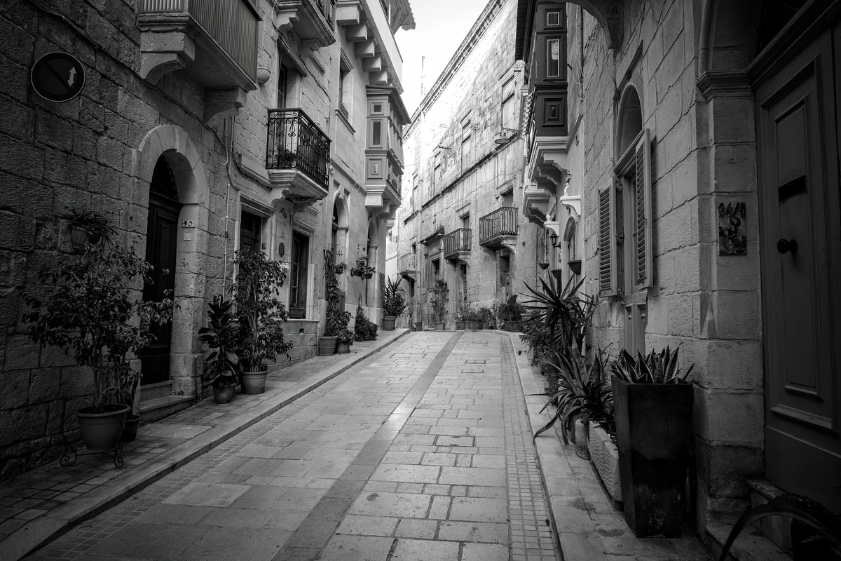 Mdina Ditch Gardens view 2