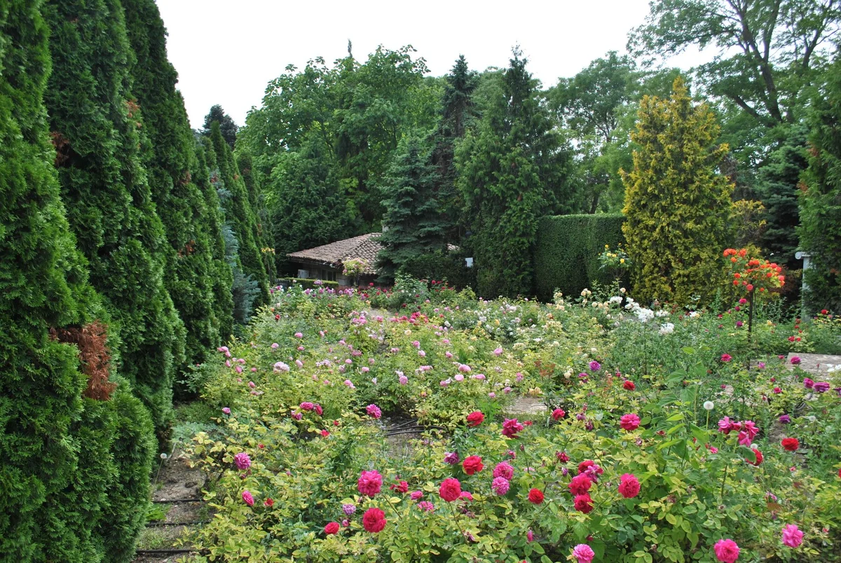 Dendrarium Park view 2