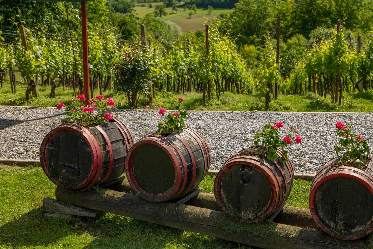 Et Cetera Winery feature