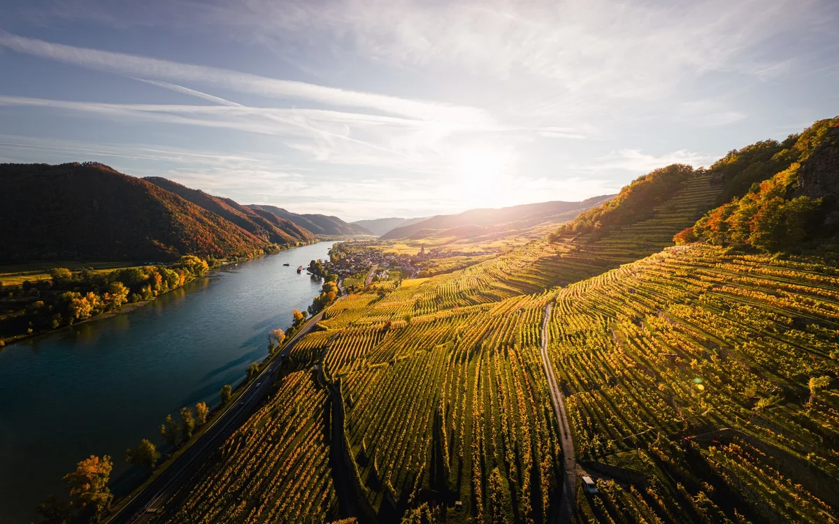 Kara Gani Winery feature