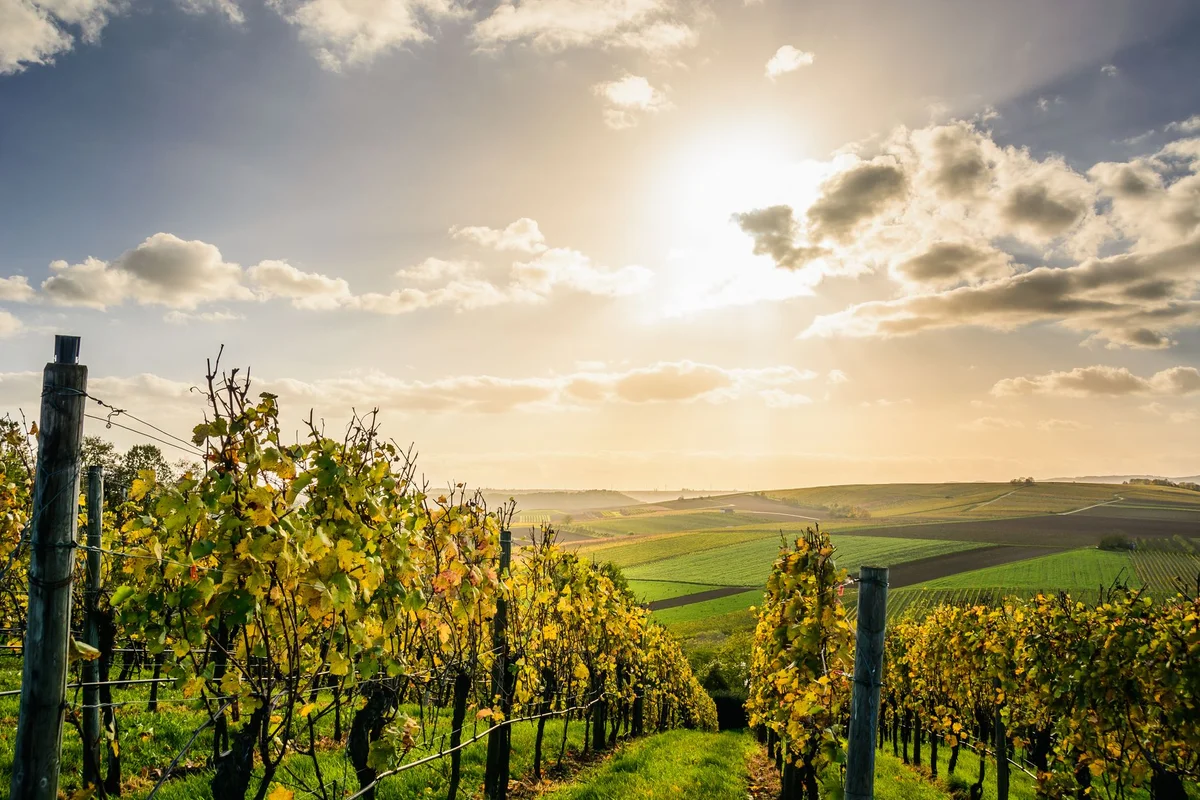 Kara Gani Winery view 2