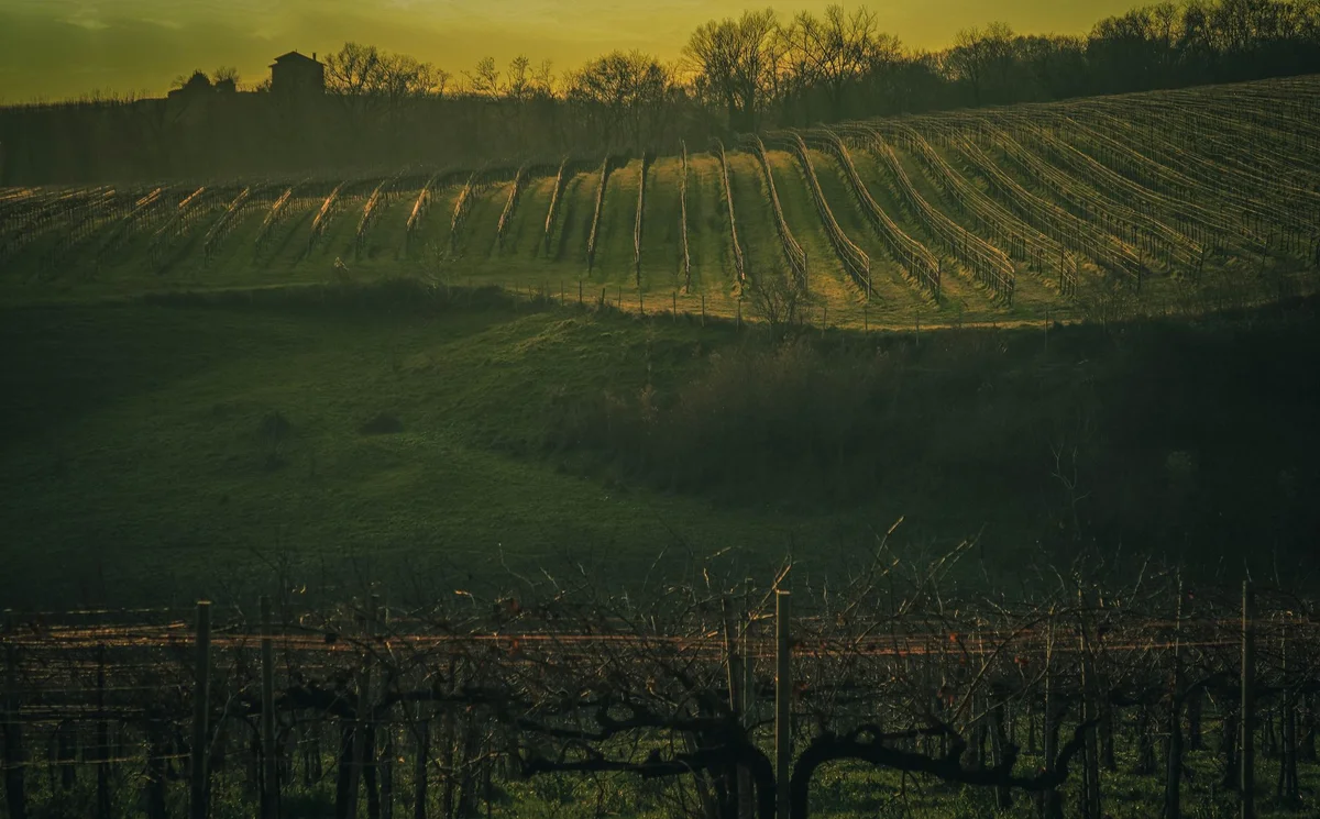 Kara Gani Winery view 1