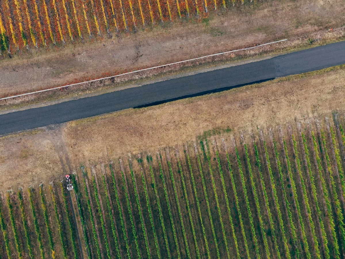 Mileștii Mici Winery feature