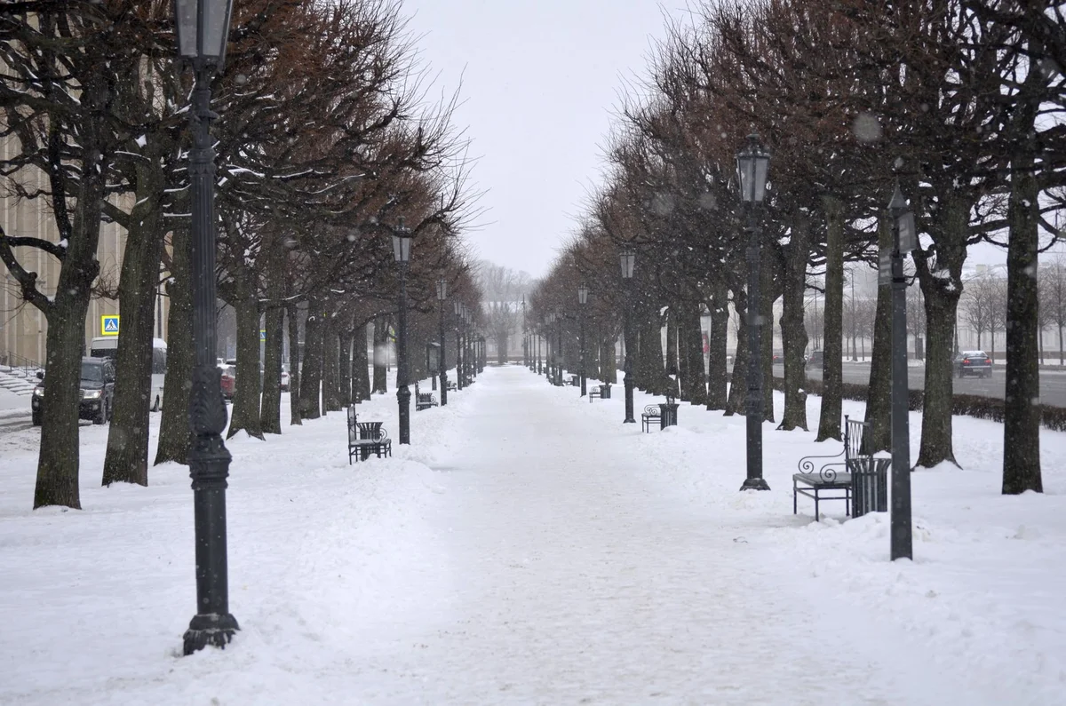 Stephen the Great Public Garden view 2