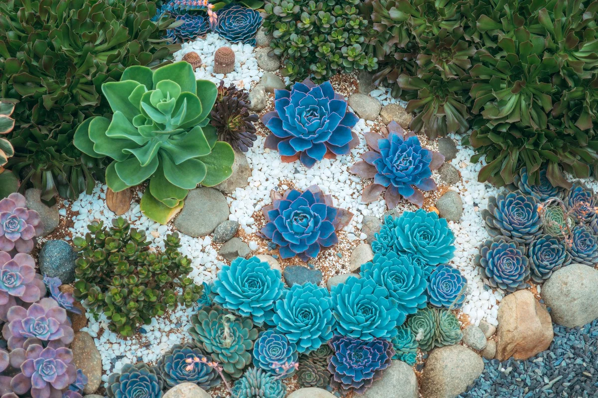 Jardin Exotique de Monaco view 2